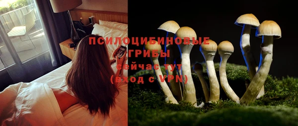 jwh Богданович