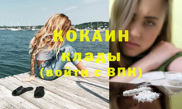 дживик Богородск
