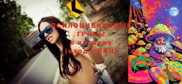 эйфоретик Богородицк