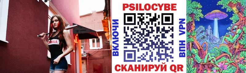 Галлюциногенные грибы Psilocybe  Купить где  Моршанск 